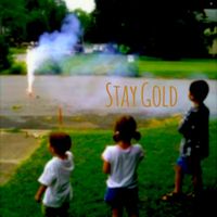Stay Gold by Zara Davy