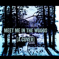 Meet Me In The Woods (A Cover) by Murmuration
