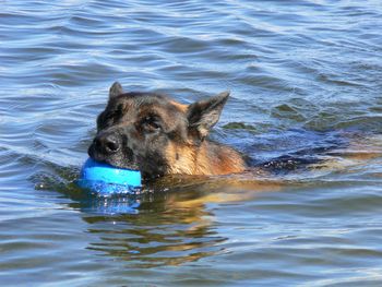 Brock loves the water
