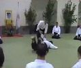Rome Italy International Aikido Seminar March 30 through April 1, 2007- featuring Tamura and Yamada 