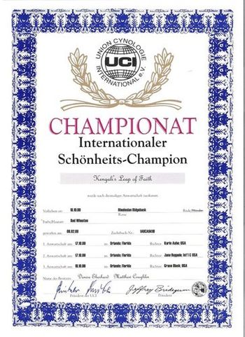International Champion certificate
