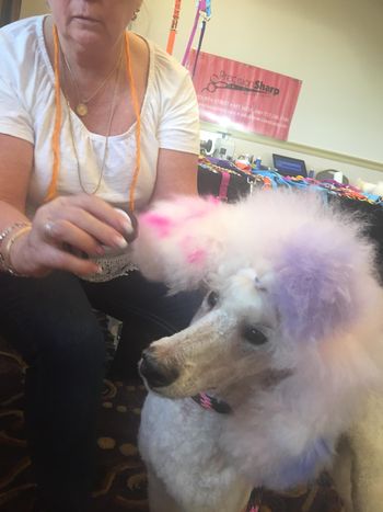 Dawn Omboy - the Queen of Color - playing with Camille at the Mardi Gras Pet Expo 2017
