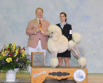 Armani & I winning Best of Variety under judge Mr. William Usherwood - our 1st time in the Group Ring - Armani 14 mos old

