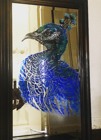 Peacock carved on mirror

