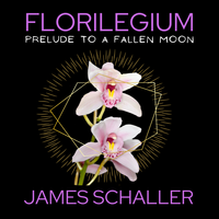Prelude for a Fallen Moon by James Schaller
