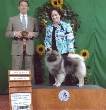 Chessi at the 2007 KCA National handled by co-owner/breeder: Cathy Smith
