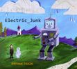 Electric Junk (hard copy)