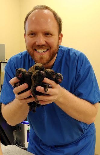 01-23-2019 - Dr. Ryan Carpenter delivered these pups on HIS birthday!
