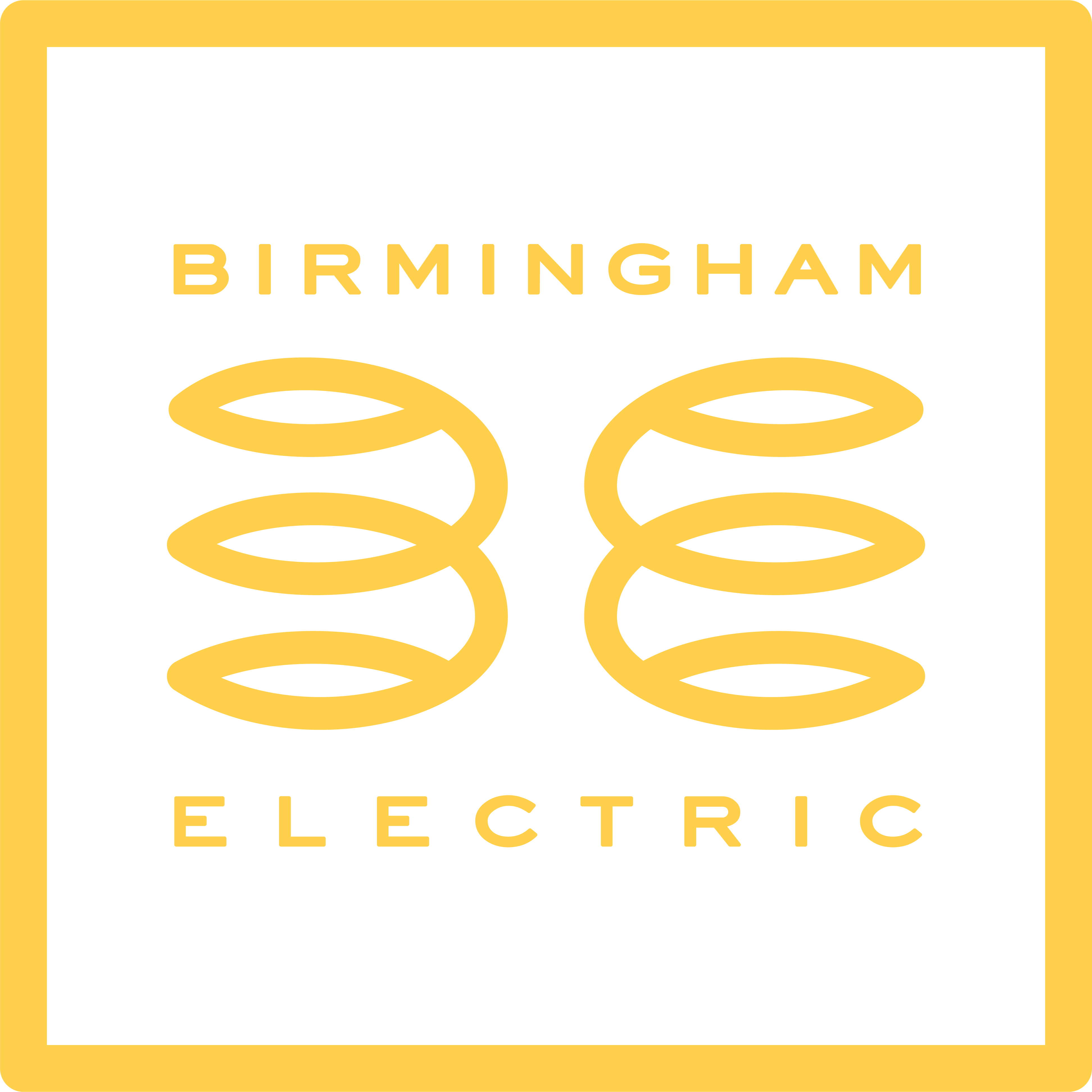 Birmingham Electric