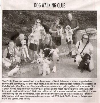 Our Dog Walking Club is all the Buzz!
