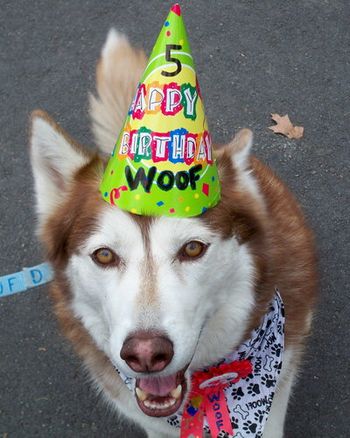 Woofs 5th Outdoor Birthday Party
