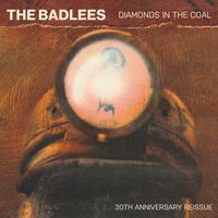 Diamonds In The Coal by The Badlees