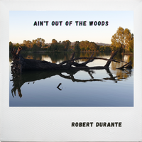 Ain't Out of The Woods by Robert Durante