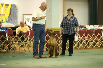 Ra & Mark obedience Nat'l s  2017
