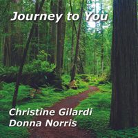 Journey to You by Christine Gilardi