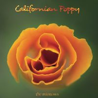 Californian Poppy by The Minnows