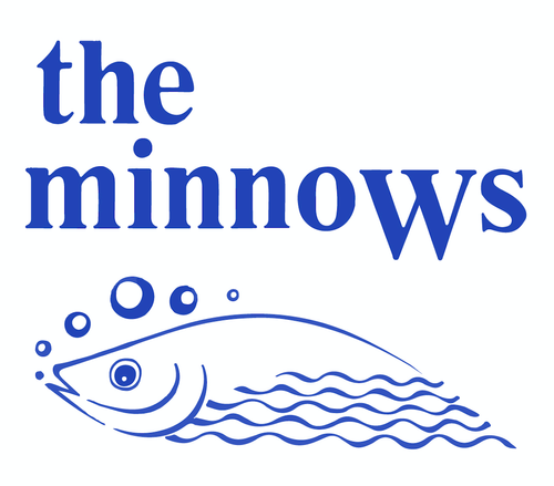 the minnows belfast based indie band