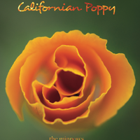 CD ORDER - CALIFORNIAN POPPY