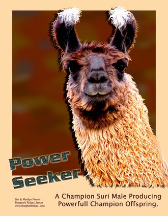 Sire- STAR Power Seeker