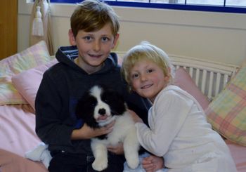 Pippin with his new family, Emmanuel & Connie.
