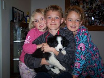 Ionaborda Tess McLeod - Pup 2. Jorja, Harrison & Indy Green with new addition Kaia. Kaia has two Borders at home to show her all the tricks.
