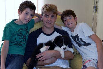 Spencer, Harrison and Alastair with their new pup Nelson who'll be living in Buderim.
