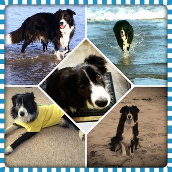 A collage collection of Baillie - Such a happy and gorgeous boy.
