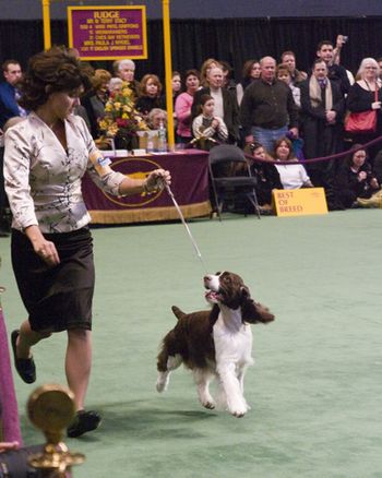 Bloomie and Jody are having a great time at Westminster in 2008.
