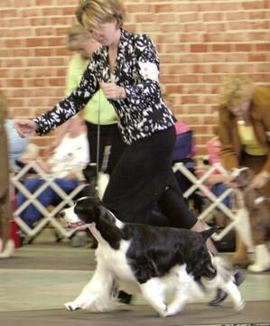 Emmie and Brittani are quite a team in Best of Breed at the 2006 Nationals.
