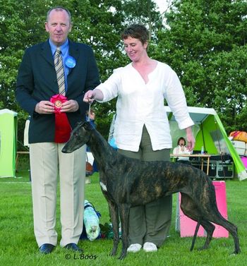 SBIS INT Nord Ch Nordv-05 -SV-06-07 Epic Clairvoyant..Group 1ST at Norrkopping International show
