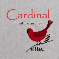 Cardinal by nature airliner