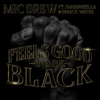 Feels Good To Be Black (Clean) by Mic Drew