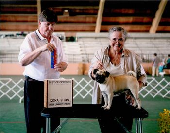 Saxten Bonica, Oct. 5, 2008. KKC Kona Show. Winners Bitch, 3 Point Major Win. Being proudly shown by her mom-Terry. It was fun and we are learning!
