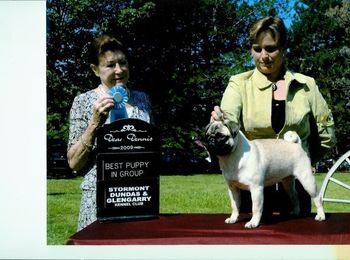 Bella Taking Best Puppy in Group at SD&G.
