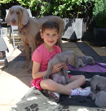 5 weeks Olivia and pups
