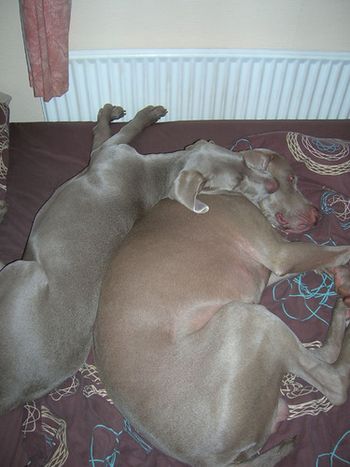 Baby Cody with Roo in 2009
