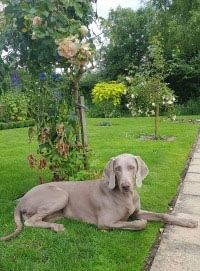 Posing in the garden
