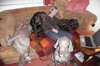 Lynne & her doggy family
