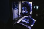 GOLDEN CHAMPAGNE FLAVORED SWEATSHIRT  Expectant : CD Artist Edition w/ Jigsaw & Bonus Material 