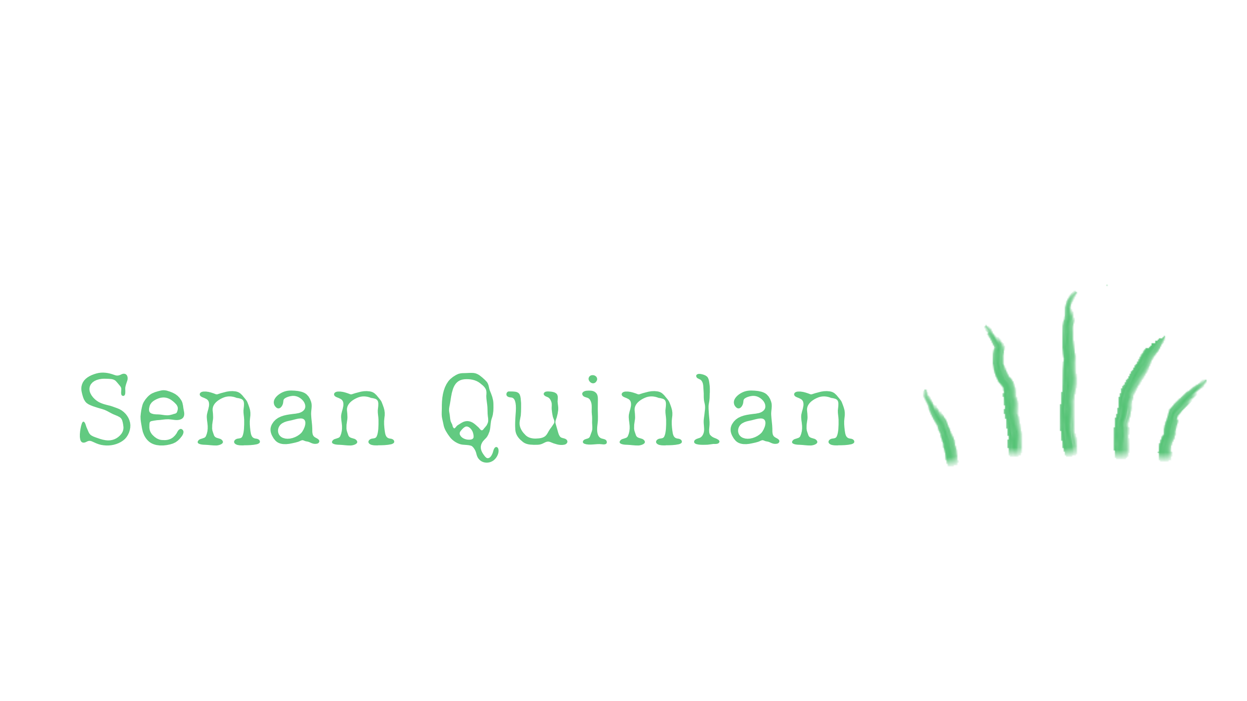 Senan Quinlan