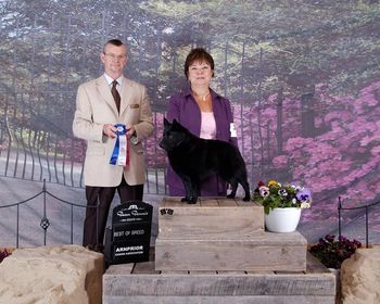 Lincoln shown winning BB at Arnprior show handled by co-breeder Ursula Hutton.
