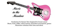 Music In The Meadow Benefit Concert