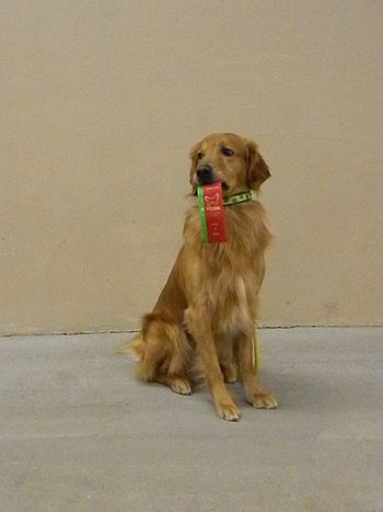 Red with his 2nd place at the WGRC Specialty in Wichita on April 3, 2014 with a 192!!!
