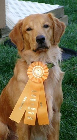 Red with his 1st JH leg from 9-29-12 in Nevada, MO
