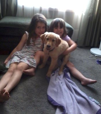 Piper and friends, aka my precious Grandaughters. Lots of fun and energy. July 10, 2015
