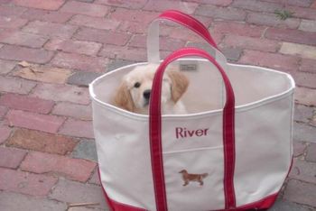 Baby River, much like her grandma River, doesn't want to be left behind!
