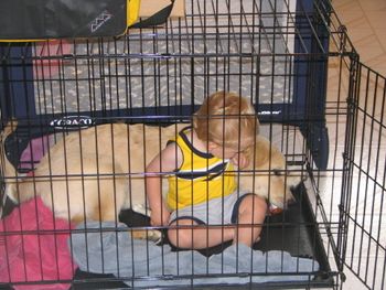 Gambler's best buddy is Kenna's son Matthew, who likes get into his crate with him! (What child doesn't like to play in a dog crate!)
