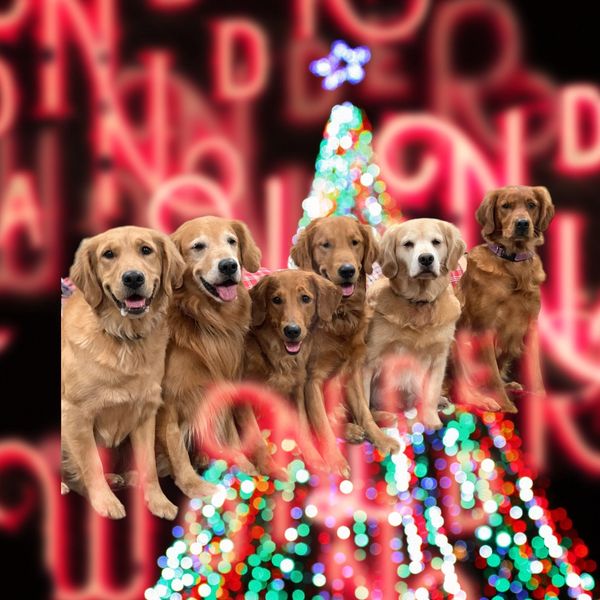 Happy Holidays!