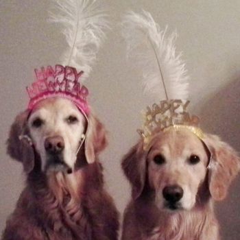 Bailey & Lacey New Year's Eve 2014
