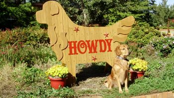 Howdy Red!  2013 GRCA National Specialty Oct 2013
